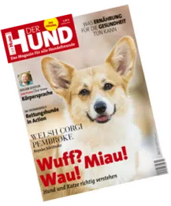 Der Hund